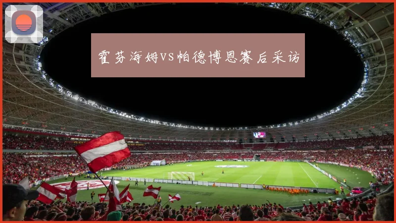霍芬海姆vs帕德博恩赛后采访