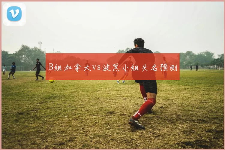 B组加拿大vs波黑小组头名预测