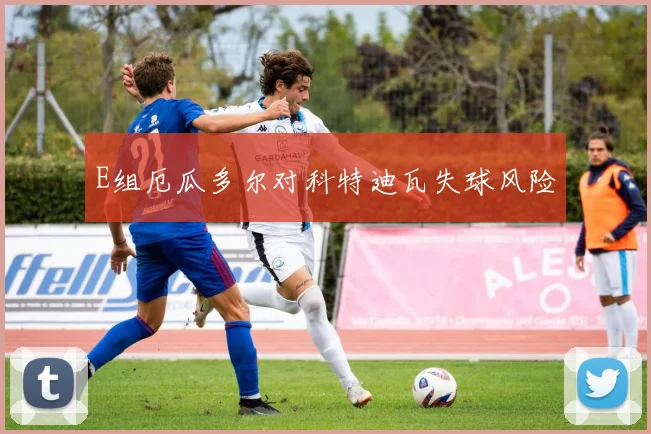 E组厄瓜多尔对科特迪瓦失球风险
