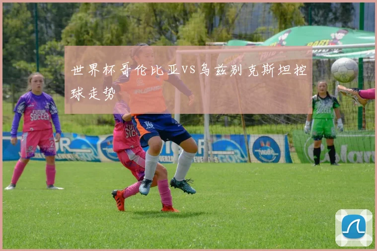 世界杯哥伦比亚vs乌兹别克斯坦控球走势