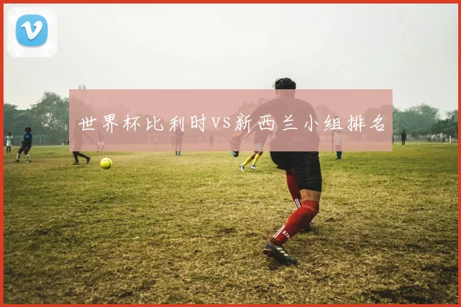 世界杯比利时vs新西兰小组排名