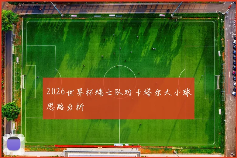 2026世界杯瑞士队对卡塔尔大小球思路分析