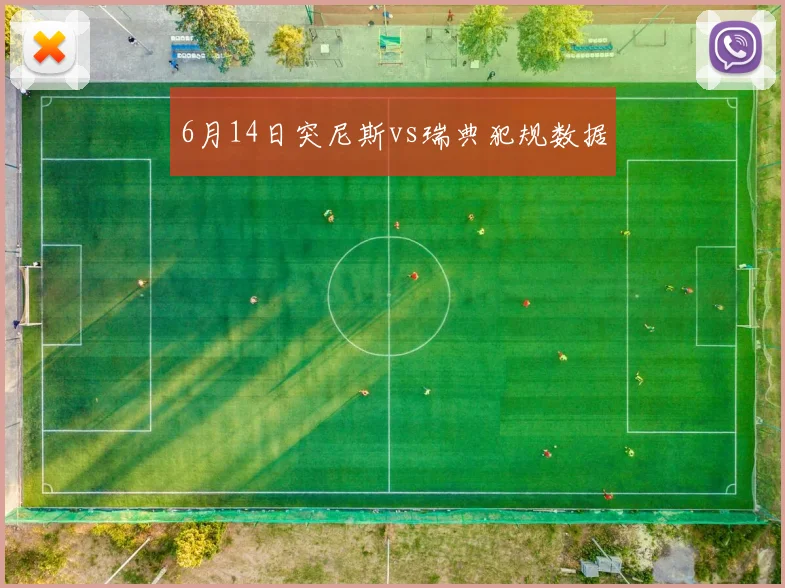 6月14日突尼斯vs瑞典犯规数据